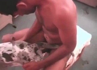 Dalmatian enjoying a passionate episode here