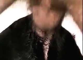 Ebony dog gets raped by a dude