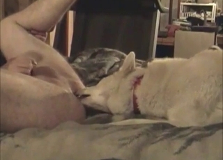 Intense ass eating for a horny twunk by his horny dog
