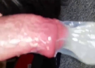 Sexy animal is made to orgasm in a condom