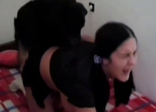 Dark-haired female drilled by a dog