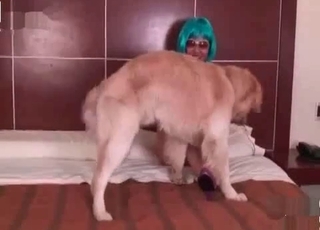 Doggy is getting a very fine and deep blowjob