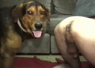 Doggy style fuck for a total whore