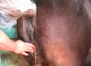 Stunning zoophilia fisting in doggy fashion
