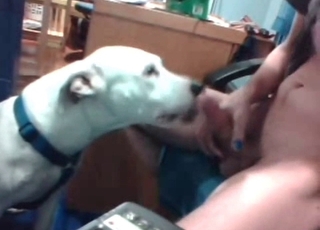 Watch how my rear end is licking my boner