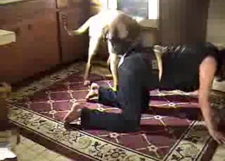 Beautiful dog fucked her wet hole
