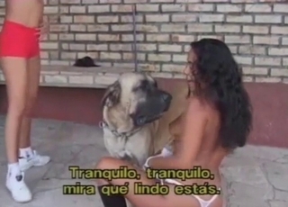 Vagina fucked hard by a doggy