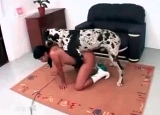 Delicious doggy is a really skillful fucker