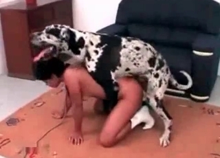 Delicious doggy is a really skillful fucker