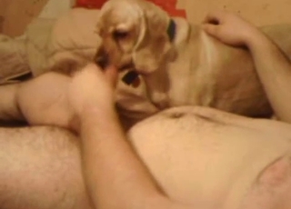 Man with a big dick gets sucked off by his doggo