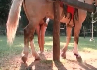 Brunette gives her doggy a very passionate blowjob
