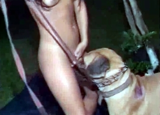 This hound loves its owner