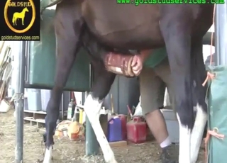Fleshlight thing used to pleasure a horse dong