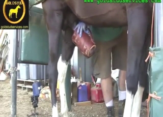 Fleshlight thing used to pleasure a horse dong