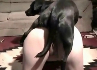 Anal action with a small doggy