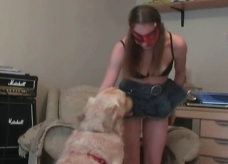 Masked musician and her instructed dog