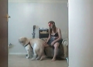 Masked musician and her instructed dog