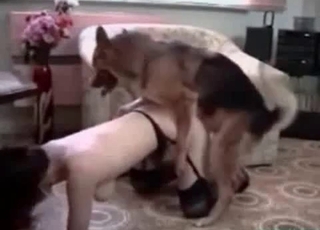 Dog is having nasty action with my wifey