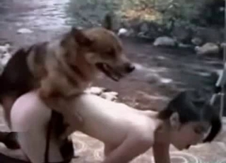 Dog is having nasty action with my wifey