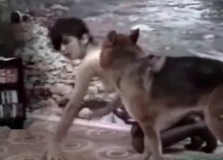 Dog is having nasty action with my wifey