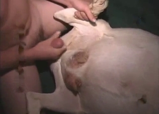 Throbbing human cock fucking a dog