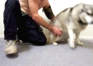 Beauty white doggy and perverted male