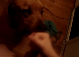 Playful doggy licks my dick with passion