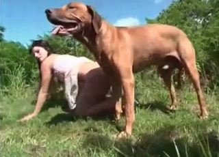Lusty as fuck brunette and her doggy