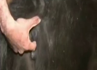 Black mare with a big pussy fucked by farmer
