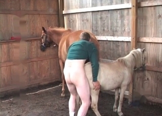 Fucking amazing pony in doggy-style pose