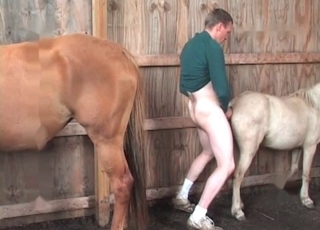 Fucking amazing pony in doggy-style pose