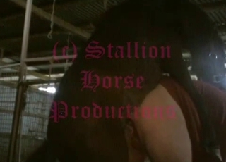 Impressive action with a horny dog