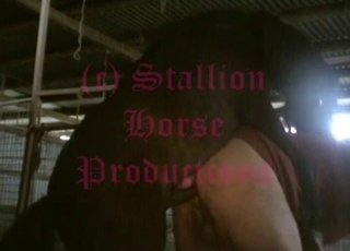 Impressive action with a horny dog