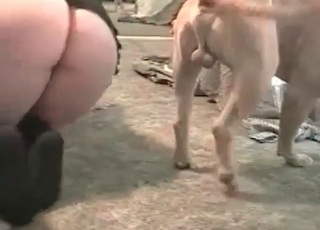 Wet pussy is being sucked by a rear end
