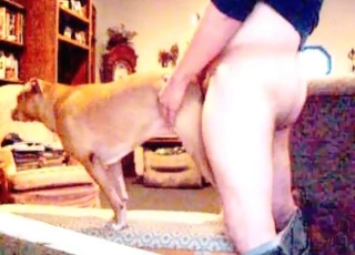 Dog luvs my small wiener
