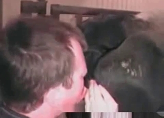 Crooked amateur and his fave dog in ass job act