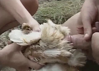 Small young puppy roughly fucked by a brutal fucker