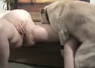 Pregnant-looking gal fucks a dog