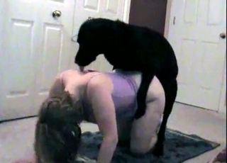 Highly fat bitch bred by a very hung dog