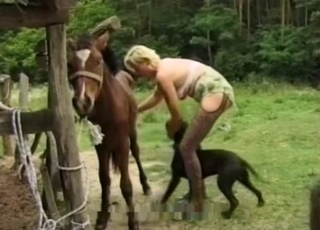 Leopard pantyhose babe fucks a horse & a dog