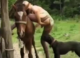 Leopard pantyhose babe fucks a horse & a dog