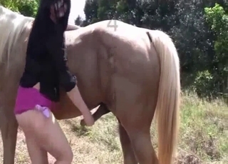 Black-haired babe and her nasty horse
