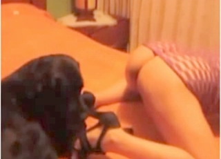 Nice gash licking action with a doggy and my dirty wife