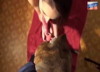 Zoophile girl is going to fuck a sexy dog big time