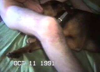 Whorish dog having all sorts of sexual pleasures