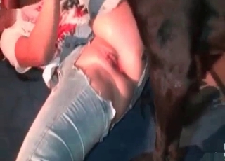 Amazing dog having all sorts of intense buttfuck entertainment