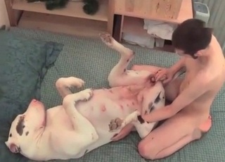 White doggy got nicely fucked from behind