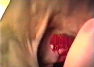 Skinny dog fucks like a crazy