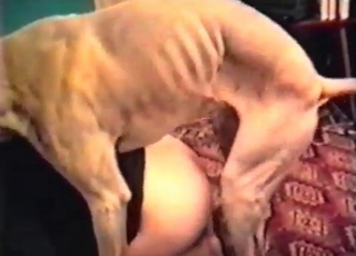 Skinny dog fucks like a crazy