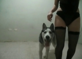 This northern doggy knows how to fuck